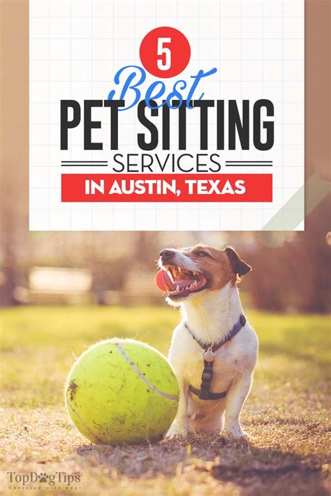 Dog boarding austin tx. Things To Know About Dog boarding austin tx. 